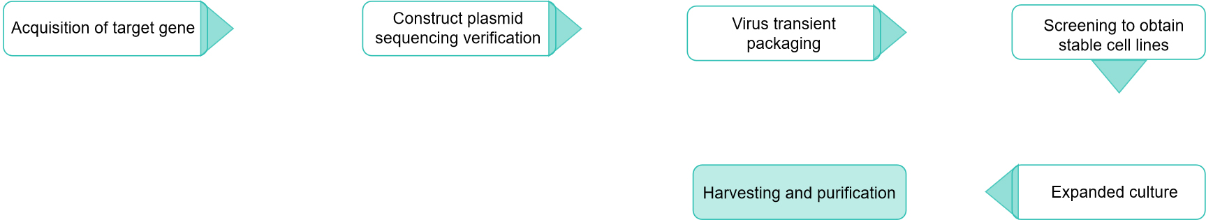 Fig.1 Retrovirus vector construction..