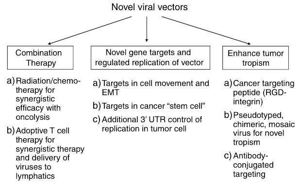 Fig.2 Approaches for improving therapeutic viral vectors.