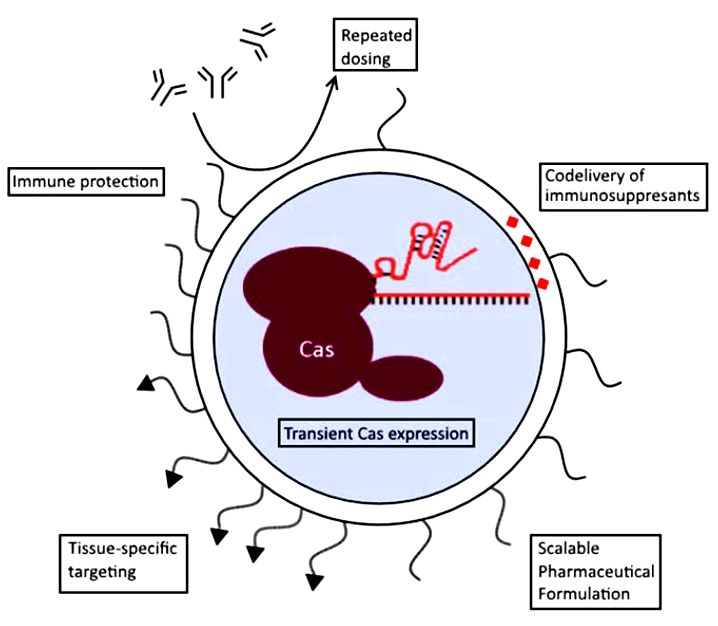 Fig.1 Advantages of synthetic vectors using a lipid nanoparticle.