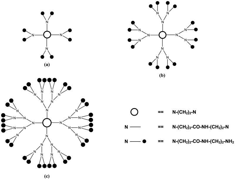 Fig.2 Structure of dendrimer.