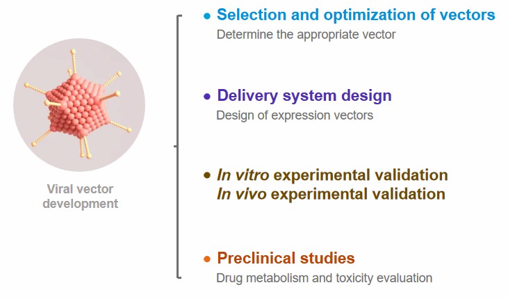 Fig.2 Gene delivery systems development.