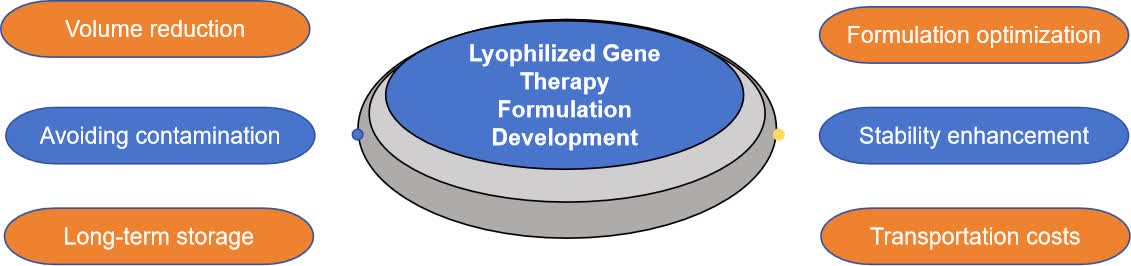 Fig.1 Lyophilized gene therapy formulation.