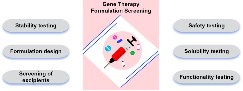 Fig.1 Role of Gene therapy formulation screening.
