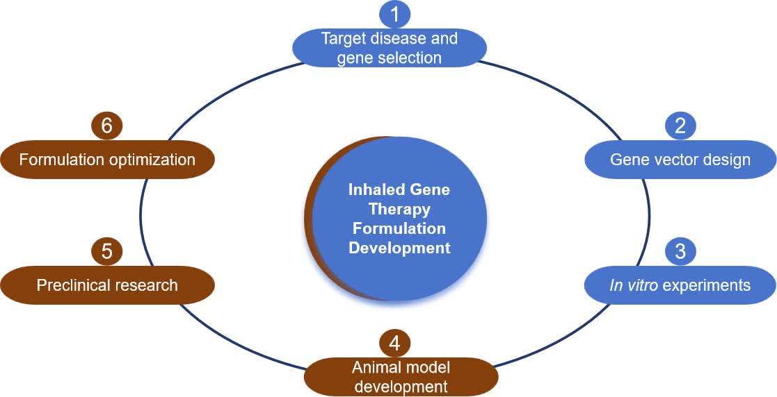 Fig.1 Inhaled gene therapy formulation development.