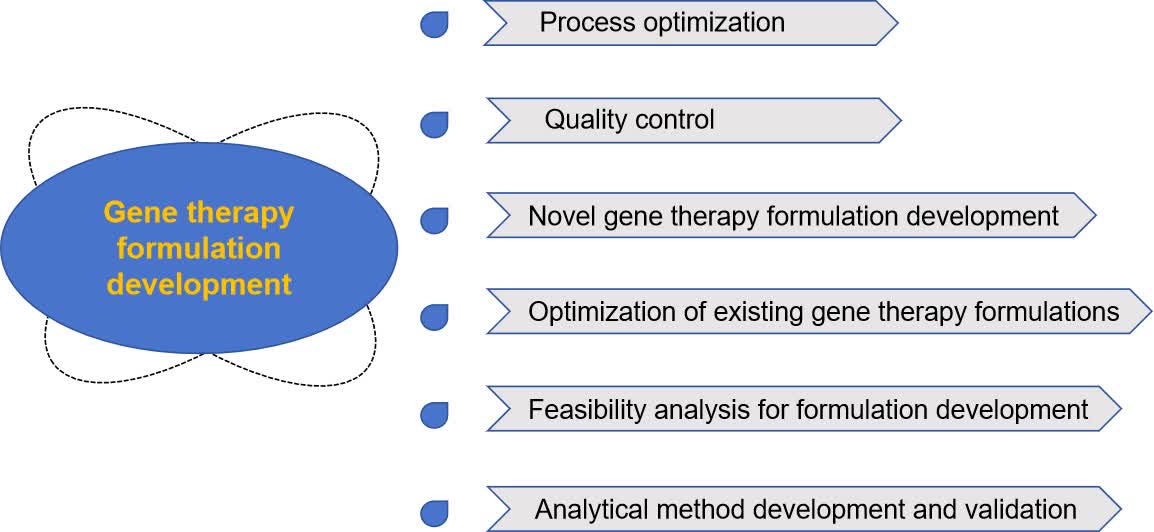 Fig.2 Gene therapy formulation studies.