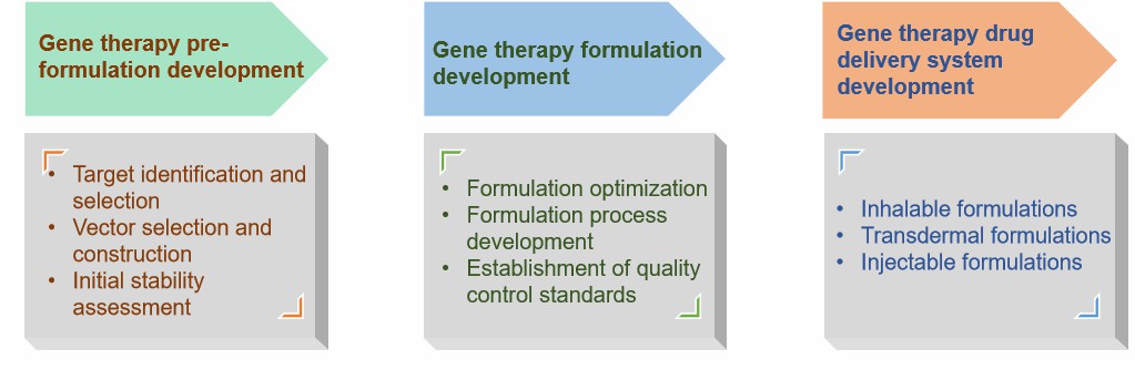 Fig.2 Our process of gene therapy formulation development.