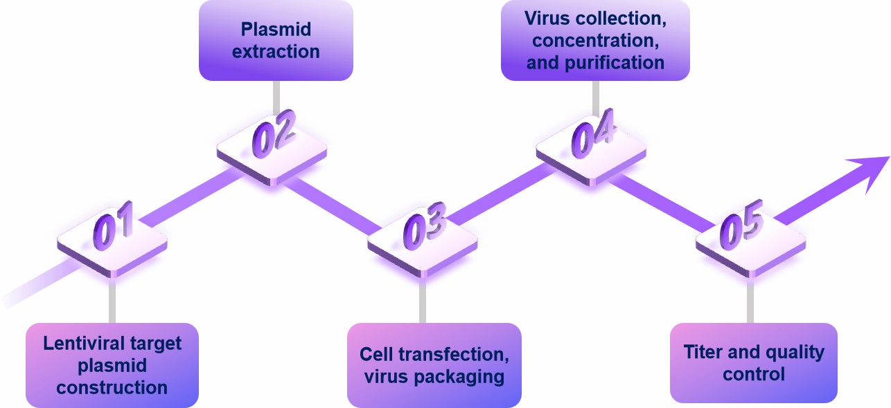 Fig.1 Lentiviral packaging.