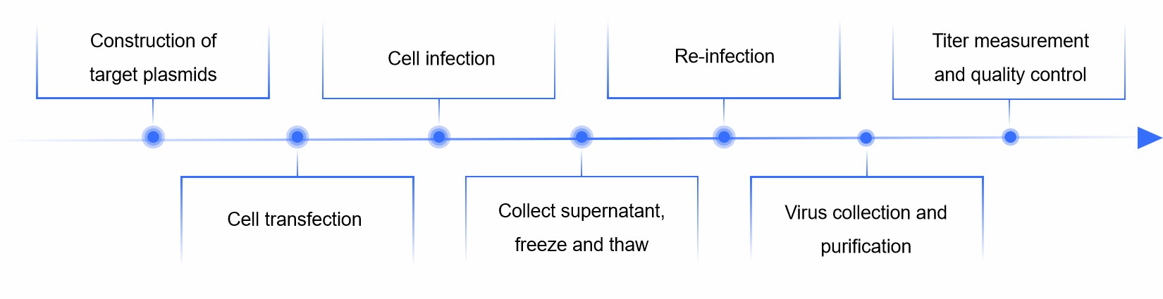 Fig.1 Adenovirus packaging.