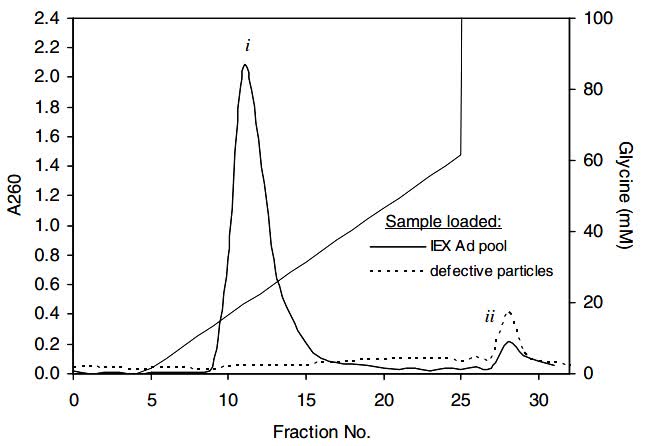 Fig.2 Metal affinity membrane chromatogram of purified adenovirus pools.