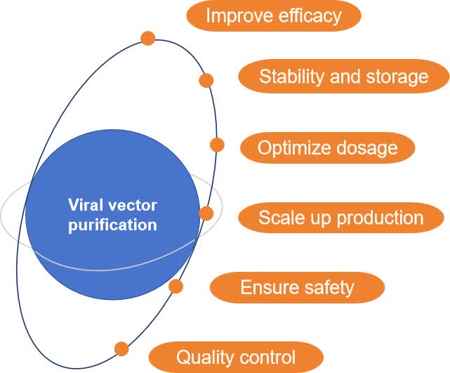 Fig.1 Viral vector purification.