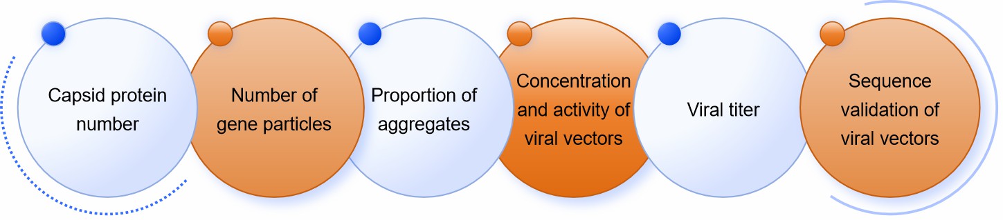 Fig.1 Viral vector characterization.