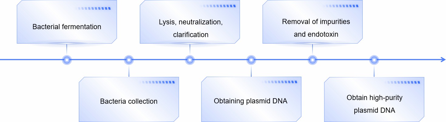 Fig.2 Plasmid DNA acquisition.