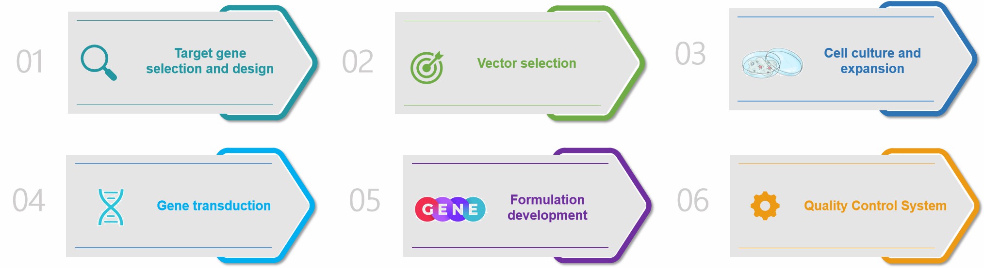 Fig.2 Our gene therapy formulation process development.