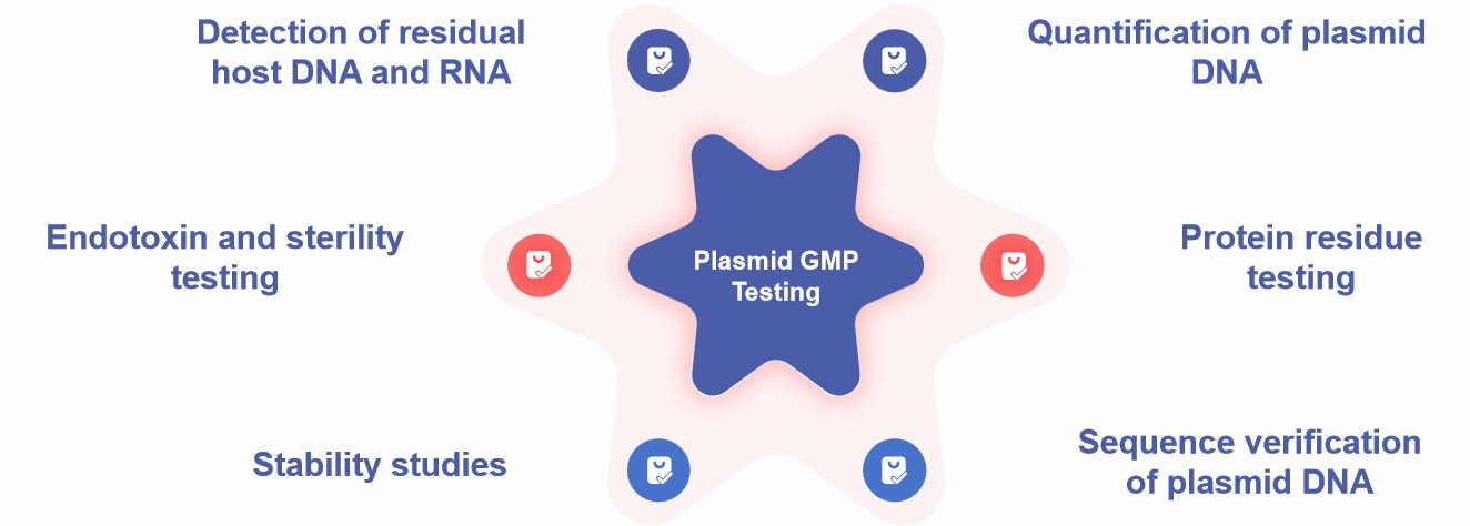 Fig.2 Plasmid testing services.