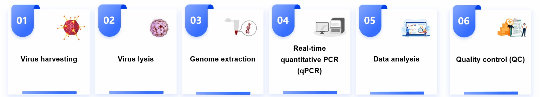 Fig.1 Adeno-associated virus titer testing service.
