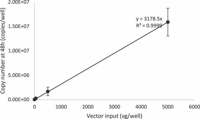 Fig.2 Identification of adeno-associated viruses-2 viral genome replication.