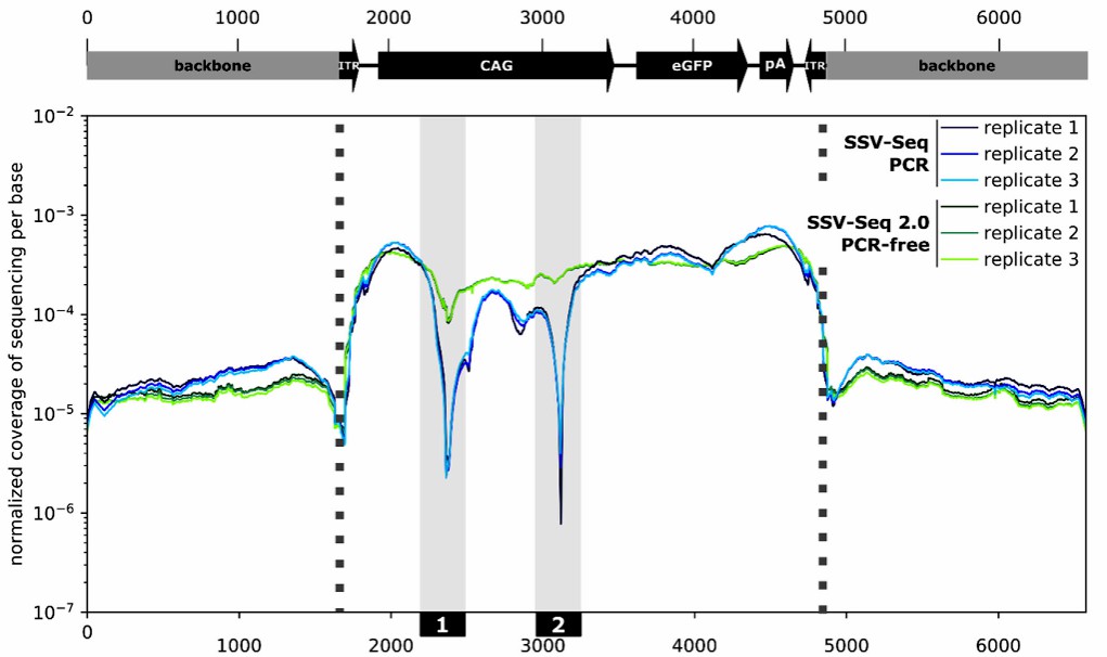 Sequencing coverage along the adeno-associated virus.