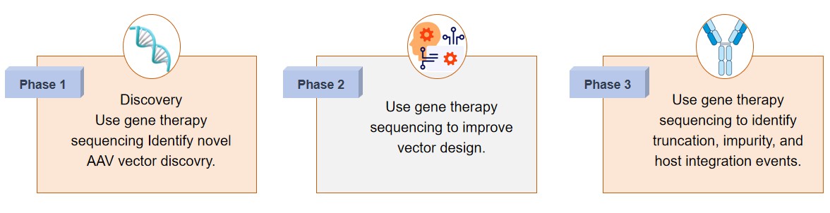 Fig.2 Gene therapy sequencing.