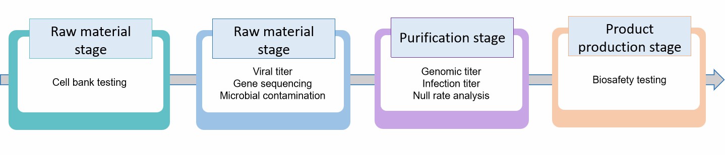 Fig.2 Gene therapy formulation testing.