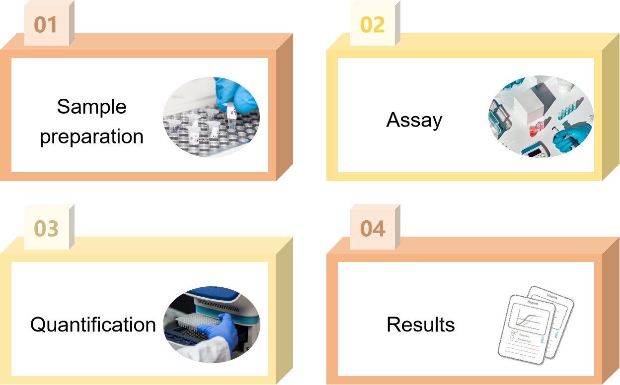 Fig.2 Our process of plasmid DNA residue testing.