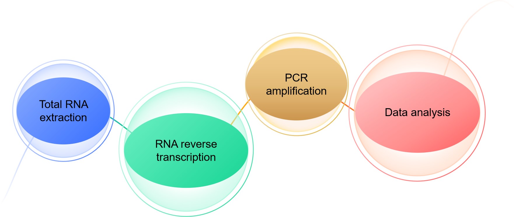 Fig.2 Our process of host RNA residue testing.