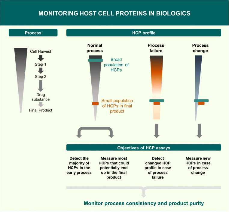 Fig.1 Objectives of host cell protein assays in biologics.
