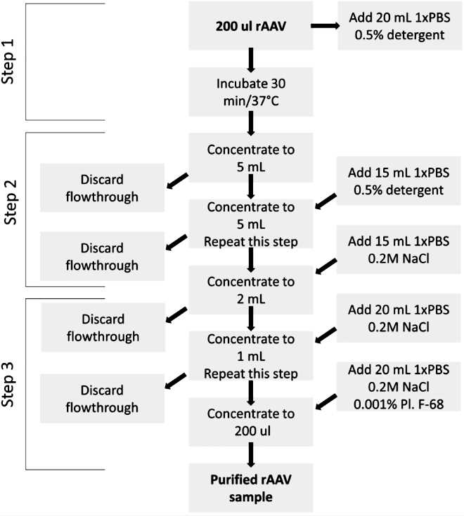 Fig.1 Decontamination of rAAV Samples.