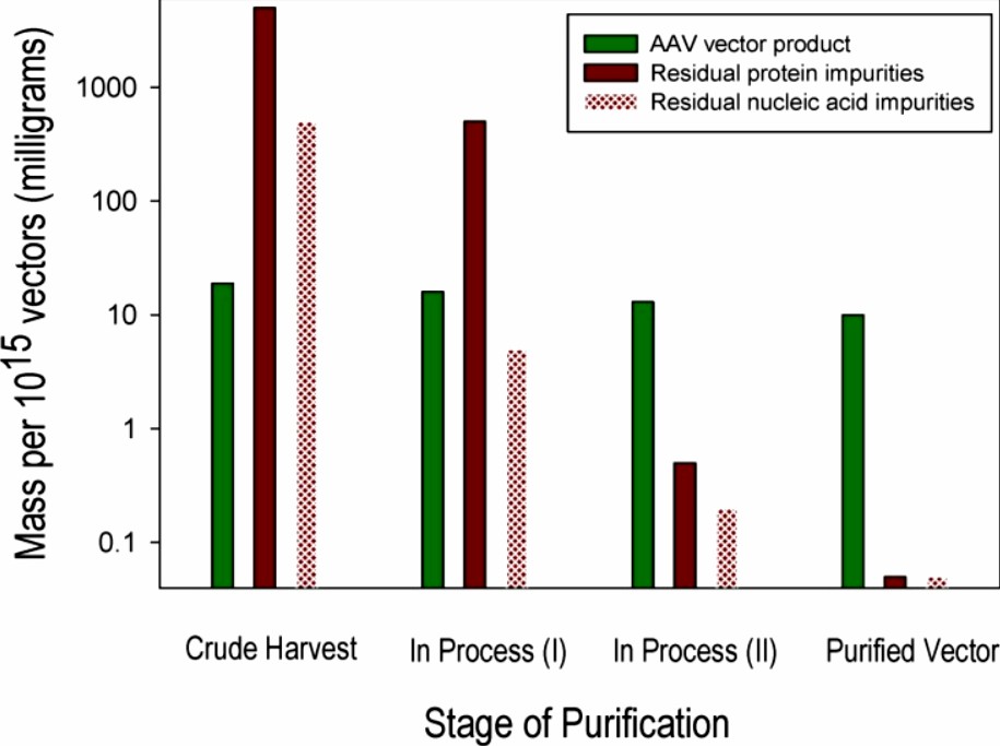 Fig.1 Stage of purification of adeno-associated virus vector.