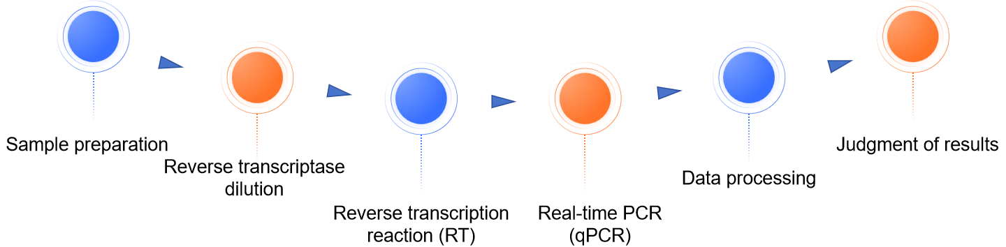 Fig.1 Our process of reverse transcriptase activity assay.
