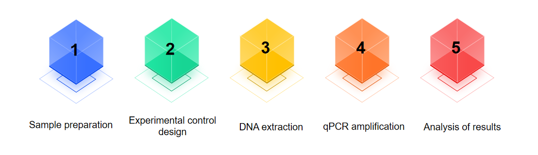 Fig.2 Mycoplasma testing process