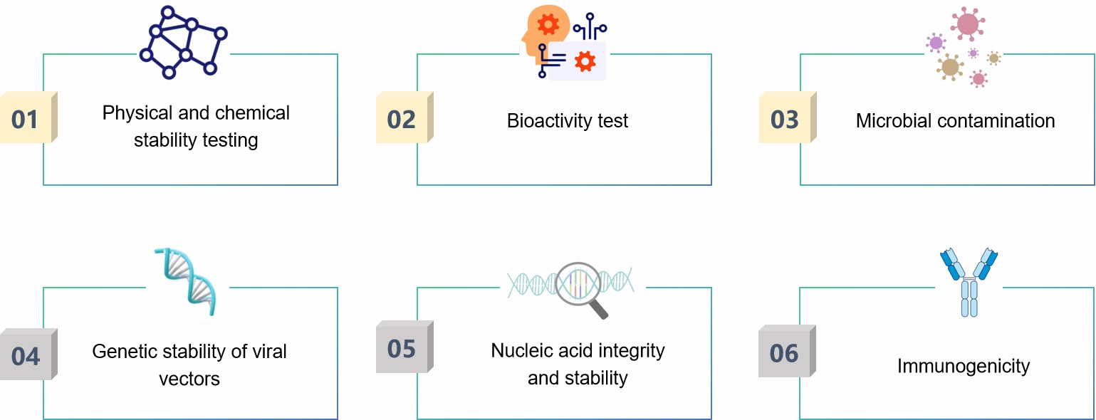 Fig.2 Gene therapy formulation long-term stability testing.