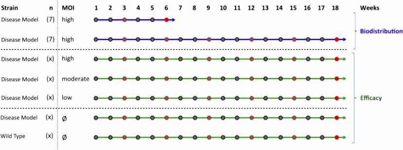Fig.2 Pre-clinical pharmacodynamics analysis.