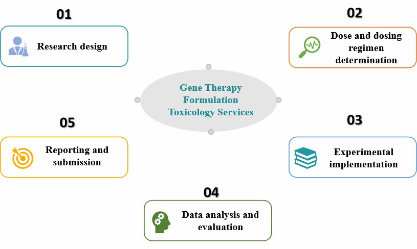 Fig.2 Our gene therapy formulation toxicology services.