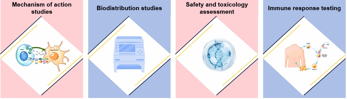 Fig.1 Gene therapy formulation pharmacology analysis.