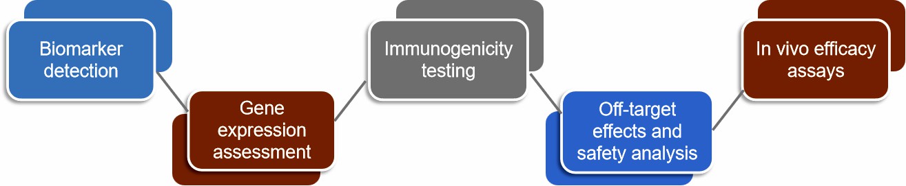 Fig.1 Gene therapy formulation pharmacodynamic assay.