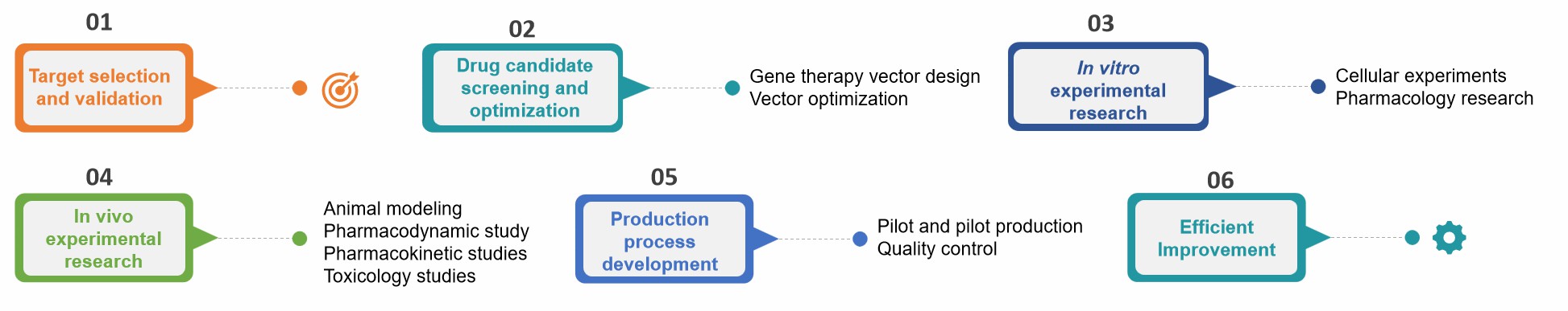 Fig.2 Our gene therapy formulation preclinical research process.