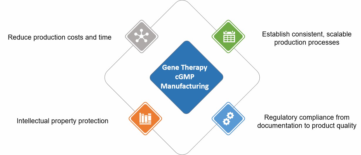 Fig.2 Our gene therapy cGMP manufacturing.