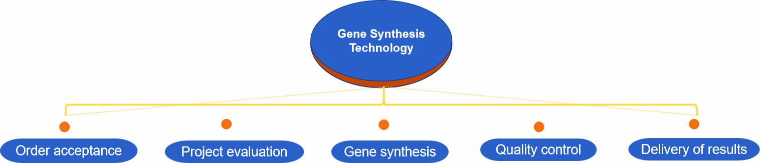 Fig.2 Process of gene synthesis.