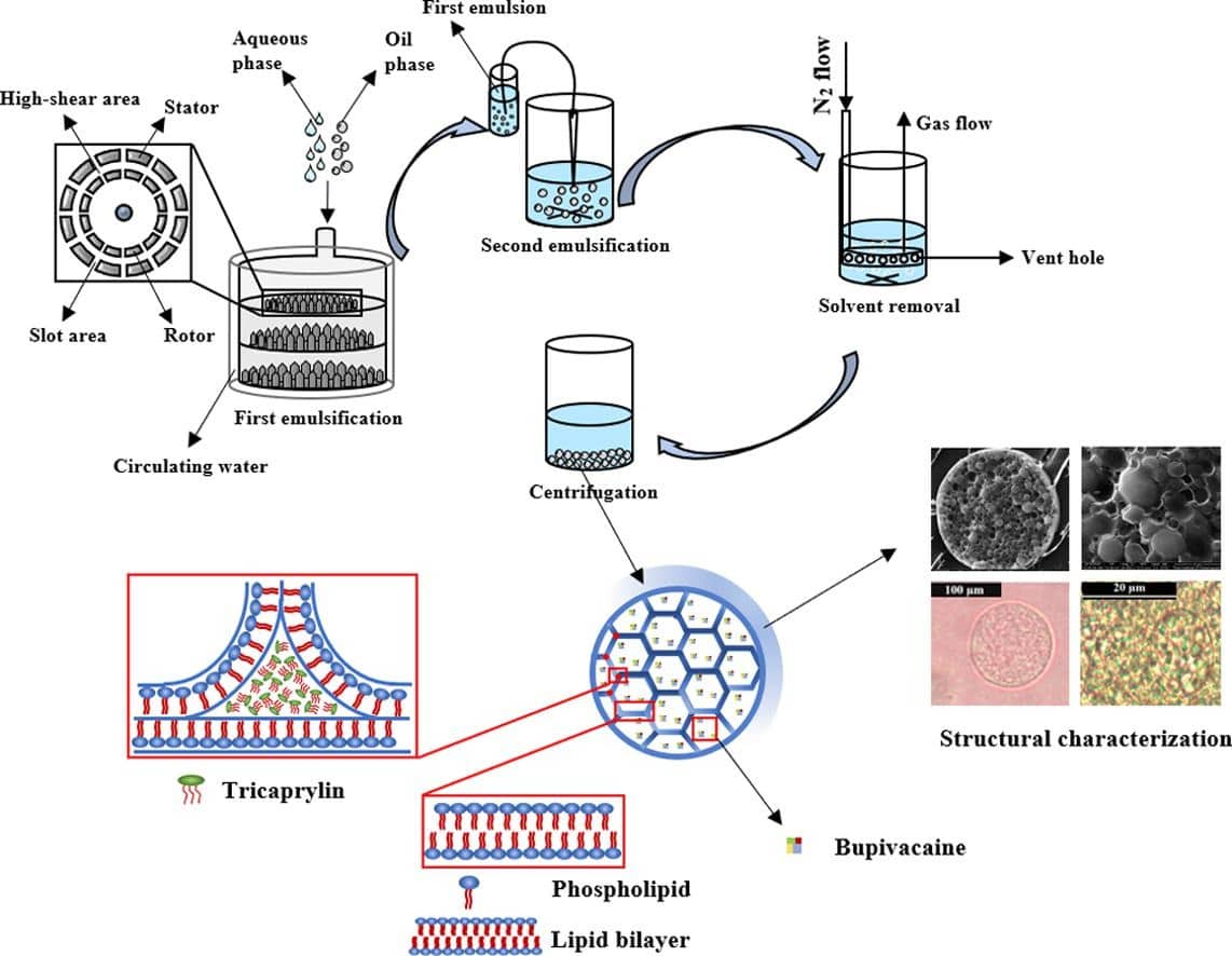 Fig.1 Evaluation of liposome preparation technology.