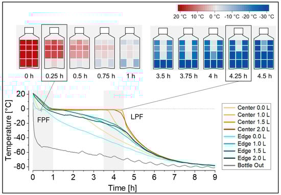 Fig.2 Temperature profiles during freezing at −80°C.