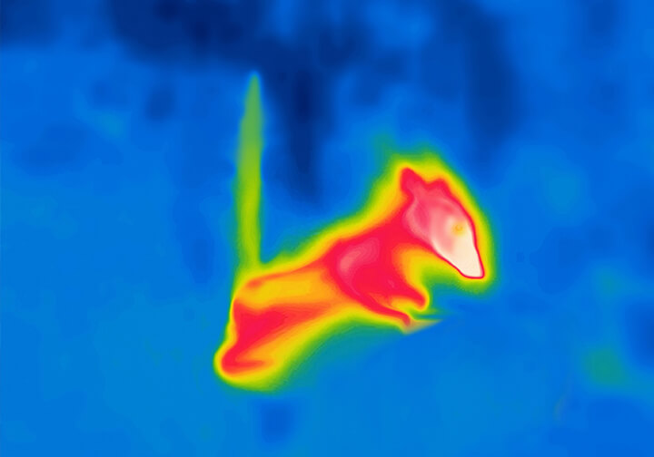 Biosensing