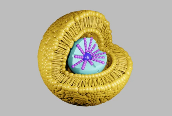 Nanoformulation analysis services.