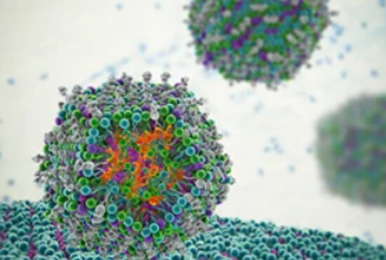 Drug Delivery