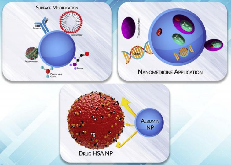 Fig.1 Albumin has the ability to attach to a wide variety of molecules.