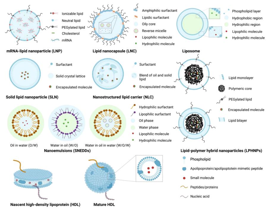 Fig.1 Structures of lipid-based nanoparticles.