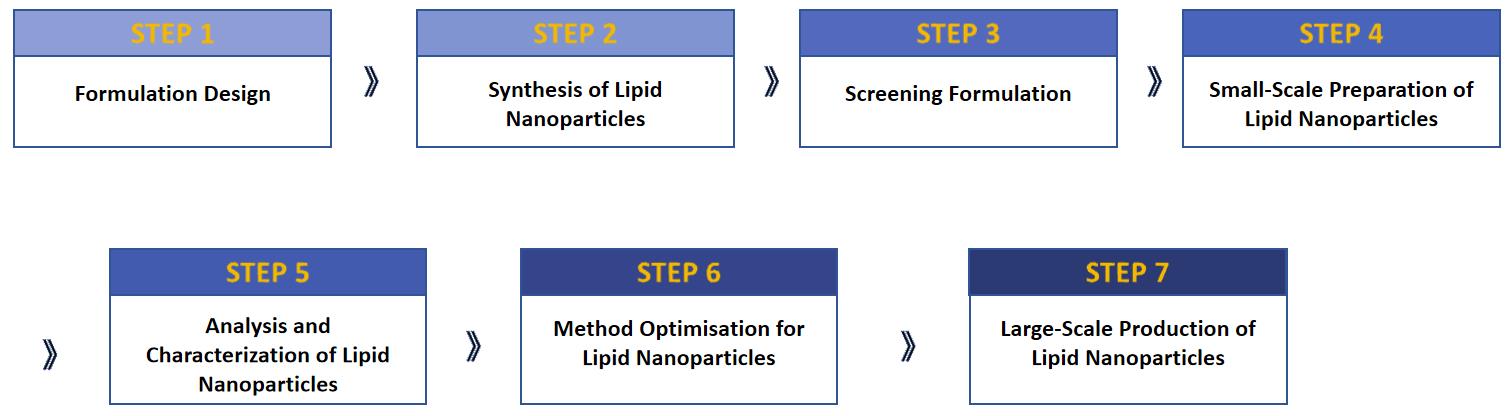 Fig.2 Lipid nanoparticle development process.