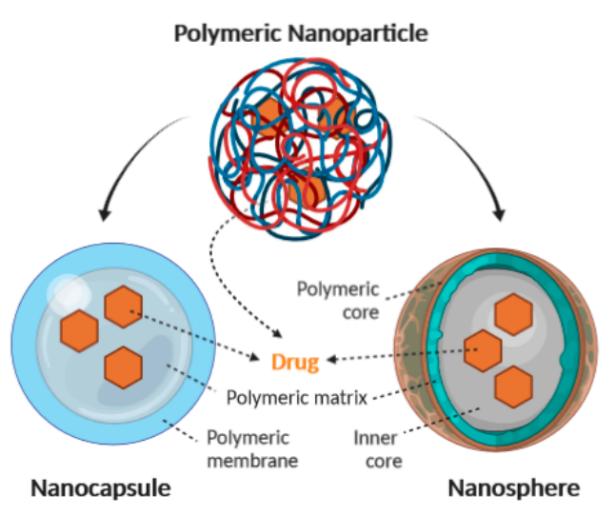 Fig.1 Structure of nanocapsules and nanospheres.