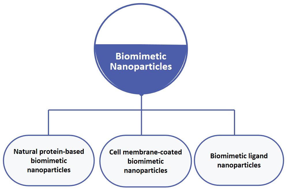 Fig.1 Classification of biomimetic nanoparticles.