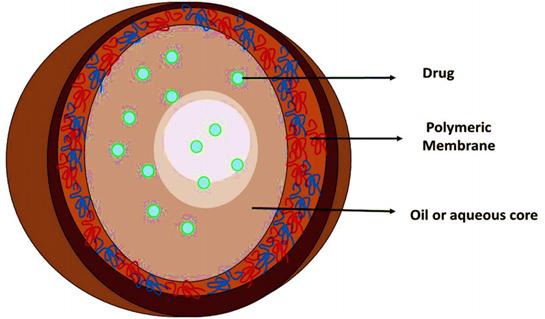 Fig.1 Structure of drug loading nanocapsule.
