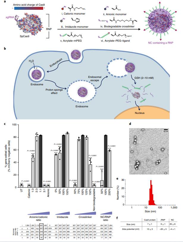 Fig.3 Nanocapsules synthesis process.